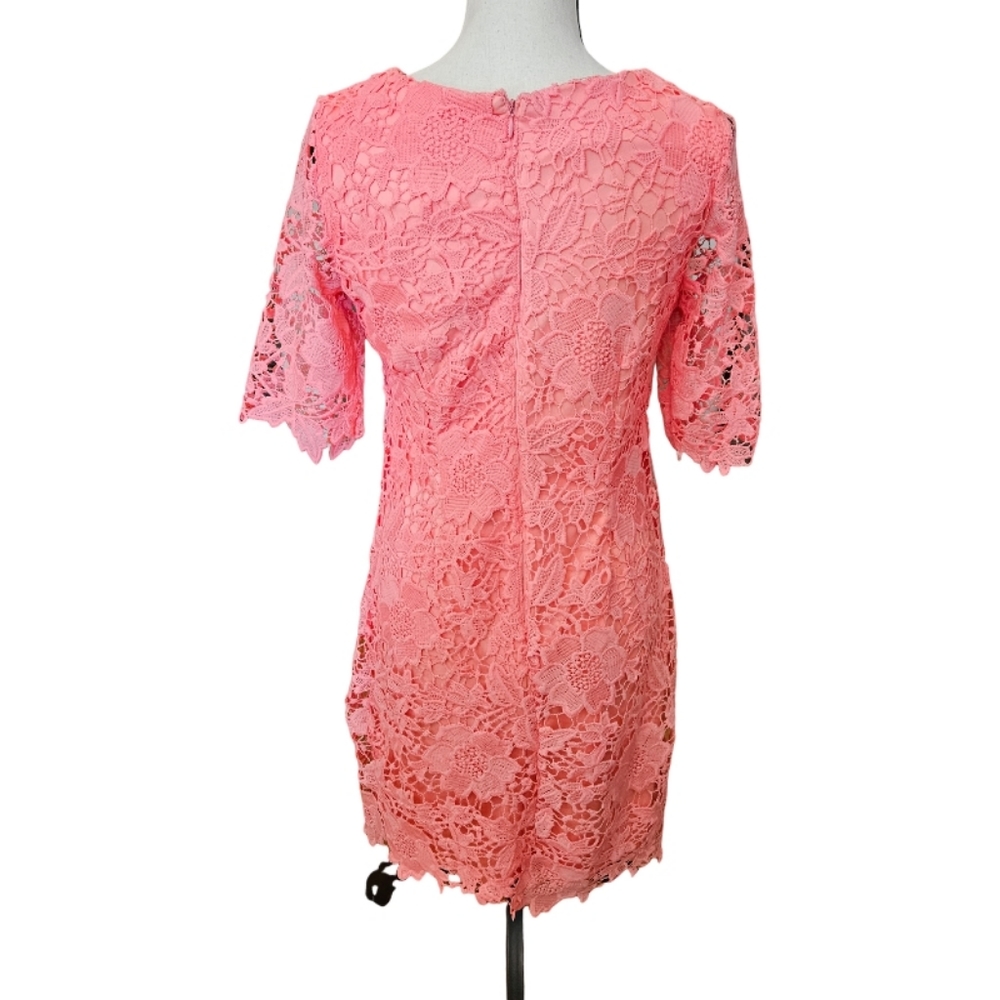 Sandra Darren Coral Laced Dress - Picture 5 of 9